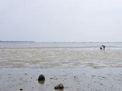 -北海金海湾红树林生态旅游区