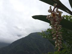 -太鲁阁公园