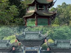 -青城甲(青城山店)