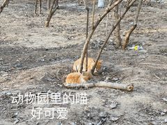 -北京野生动物园