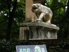 -灵谷景区