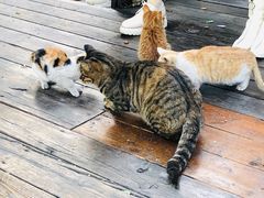 -卧龙堡客栈·中餐厅(古北水镇店)