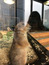 -未来动物城主题公园(正弘城店)
