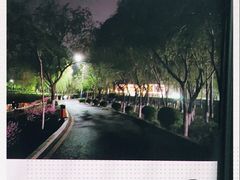 -丁香湖公园