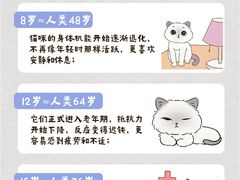 -爱侣宠医·鹦鹉专科·小型哺乳类·异宠专科(灵石路店)