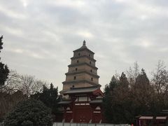 -大慈恩寺(大雁塔)