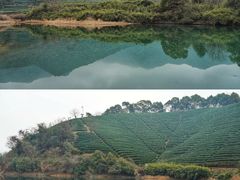 -龙坞茶村