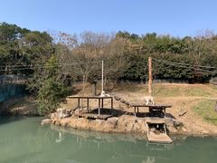 -宁波野生动物园