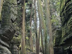 -梭布垭石林景区