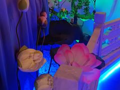 -庭院江南菜•烤鸭•非遗传承(丰台总部基地店)