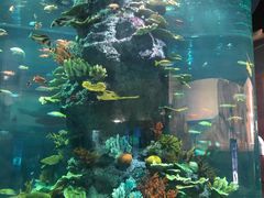 -福州罗源湾海洋世界旅游区