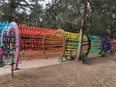 -北海金海湾红树林生态旅游区