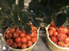 -蕃茄述·好汤自然来(江汉路店)