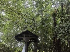 -张家港金凤凰度假村温泉