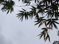 -晓港公园