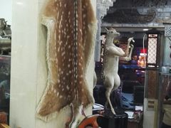 大堂-乔家满族八大碗(流水沟店)