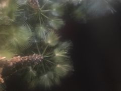 -天赐温泉