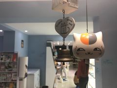 -喵的天空名猫咖啡馆·撸猫·猫舍·用品