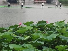-西海子公园