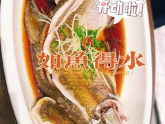 -大中华酒楼·主席武昌鱼·武汉美食地标(江汉路步行街店)