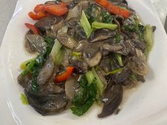 -野菌王牦牛肉汤锅