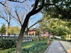 -汇龙潭