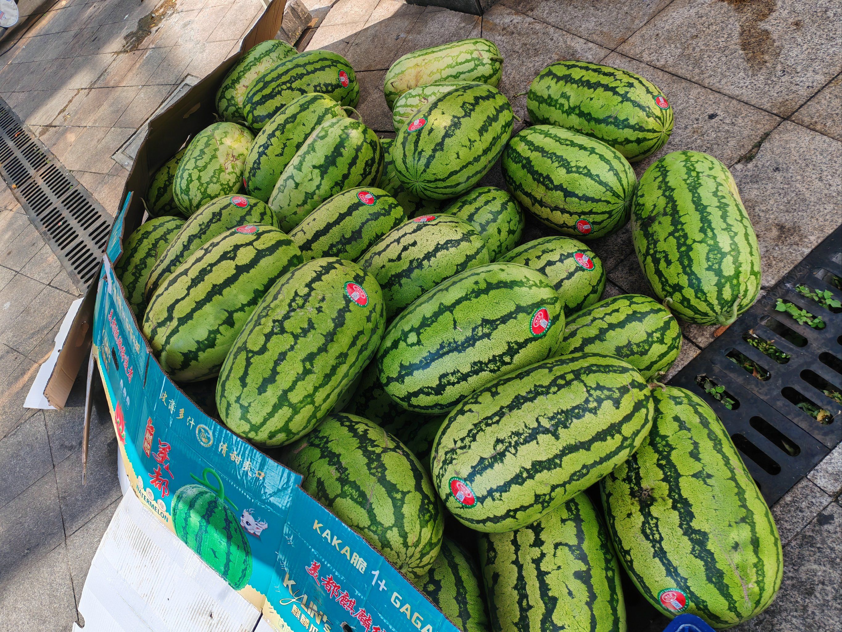 宁夏硒砂瓜六毛八!#新鲜