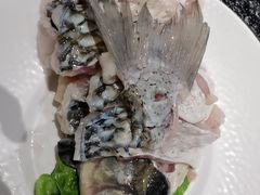 -得意咚瓜·顺德鱼生·冬瓜火锅(深圳首店)