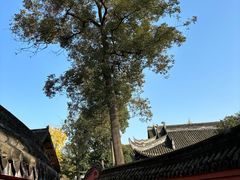 -宝光寺