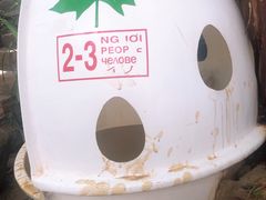 -100蛋泥浆浴