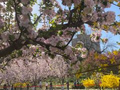 -元大都城垣遗址公园