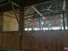 -岩保农家乐