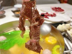 -陈记顺和潮汕牛肉火锅(韩江路店)