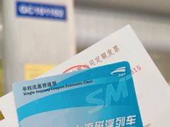 -龙阳路磁悬浮列车总站-停车场