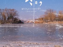 -大兴滨河森林公园