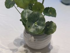 -千滋百味·醉江澜花园餐厅(街道口店)