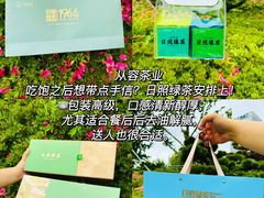 -日照海滨国家森林公园