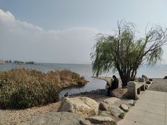 -洱海月湿地公园