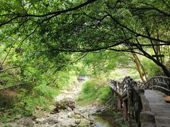 -雁荡山大龙湫景区