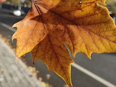 -白水寺森林公园