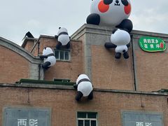 -西安电影制片厂