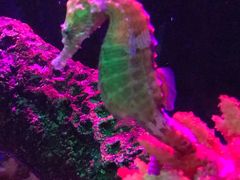 -沈阳海洋探索中心