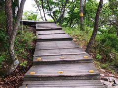 -帽儿山国家森林公园