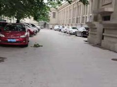 -复康路游泳馆