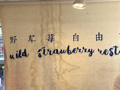 -野草莓自由市场