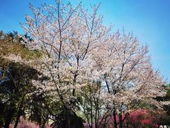 -白塘生态植物园