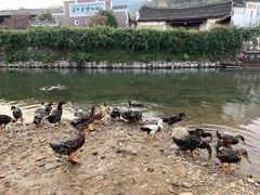 -上甘棠村