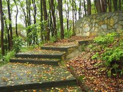 -铁山坪森林公园