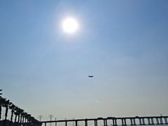 -宝安西湾红树林湿地公园