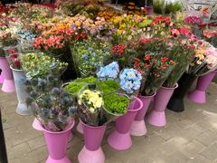 -宝鸡东道花鸟鱼虫市场(吉利花园商场店)